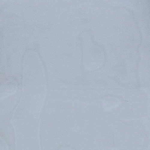 901.jpg